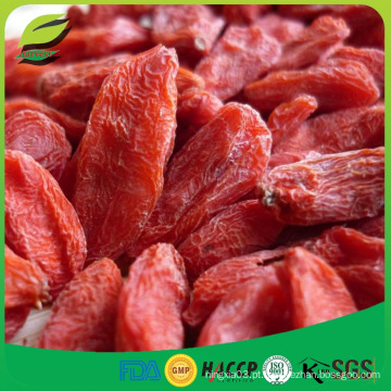 Goji tibetano chinês wolfberry para grosso